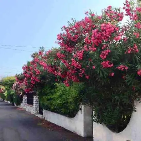 Proche Plages Juan Les Pins Petit Dans Apartamento