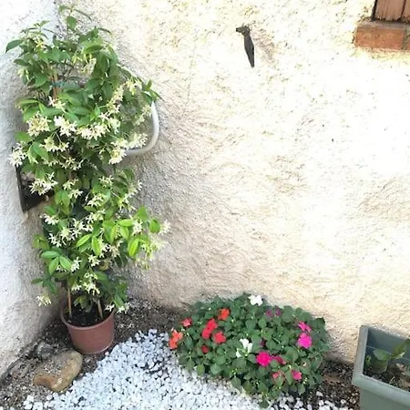 Apartamento Proche Plages Juan Les Pins Petit Dans *